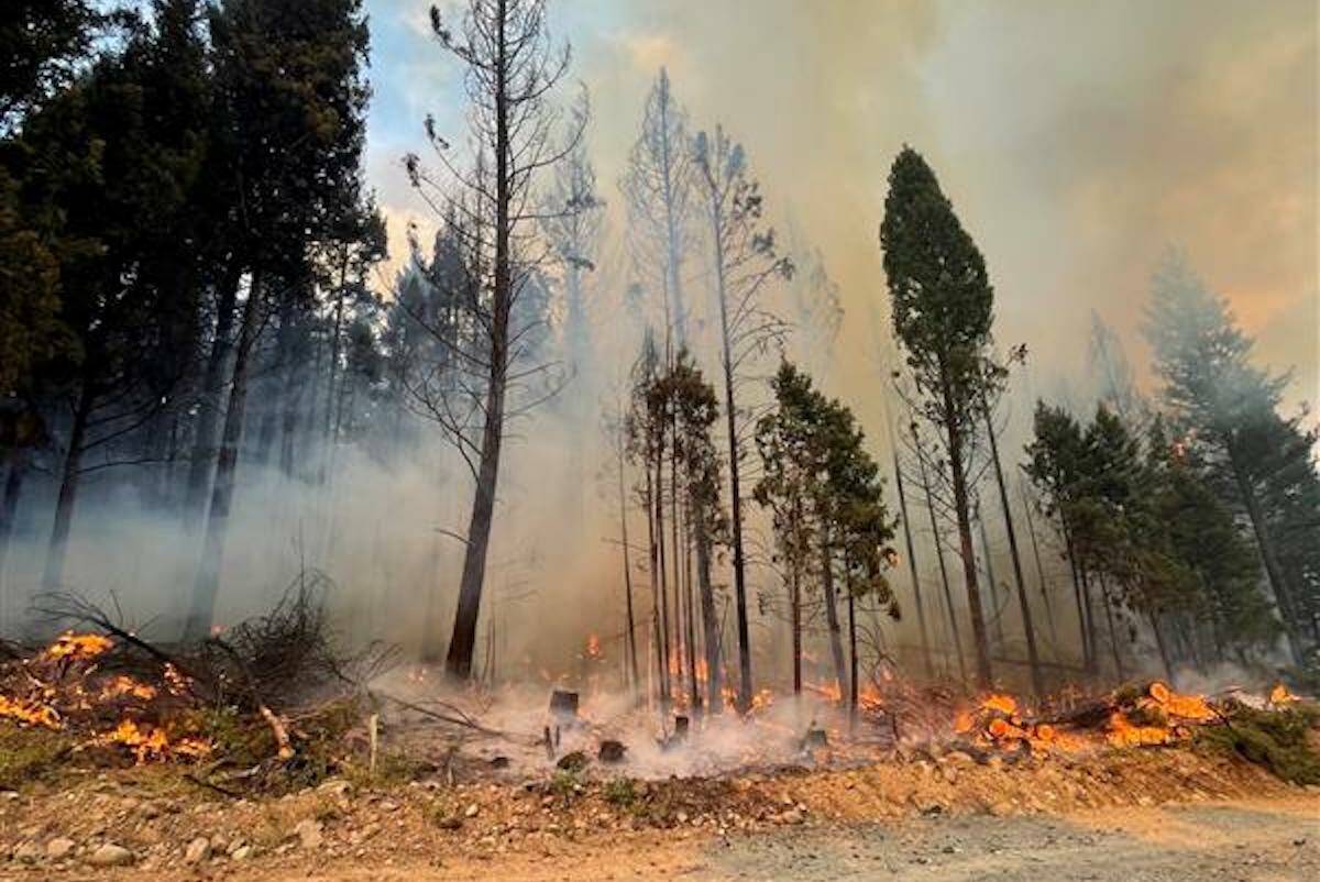 (BC Wildfire)