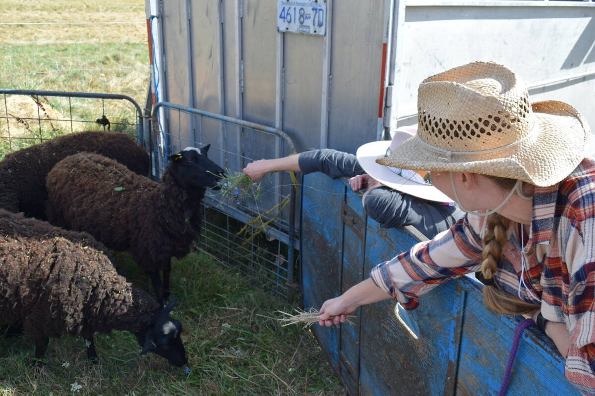 Spanning 18 venues, Flavour Trails gives locals and visitors a chance to interact with and learn about the region’s food and beverage producers. (Courtesy Flavour Trails)