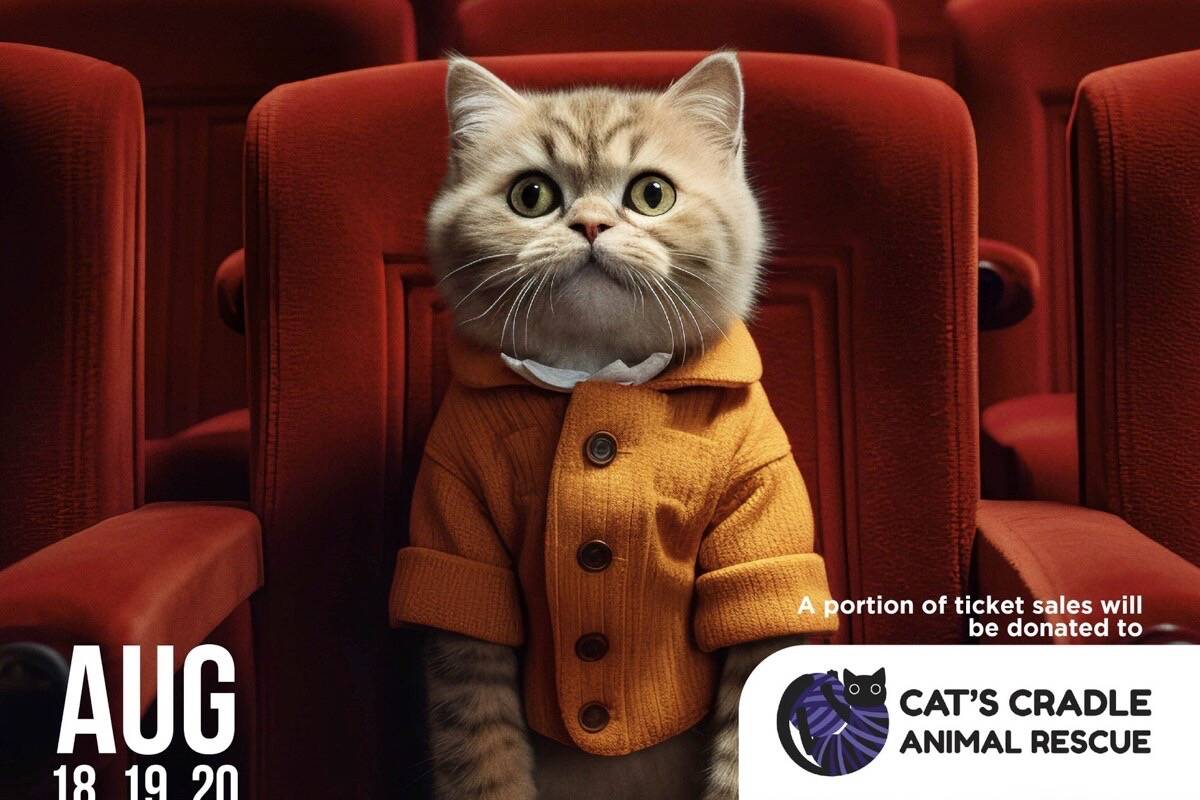CatVideoFest runs Aug. 18, 19 and 20 at The Vic Theatre. (Courtesy Victoria Film Festival)