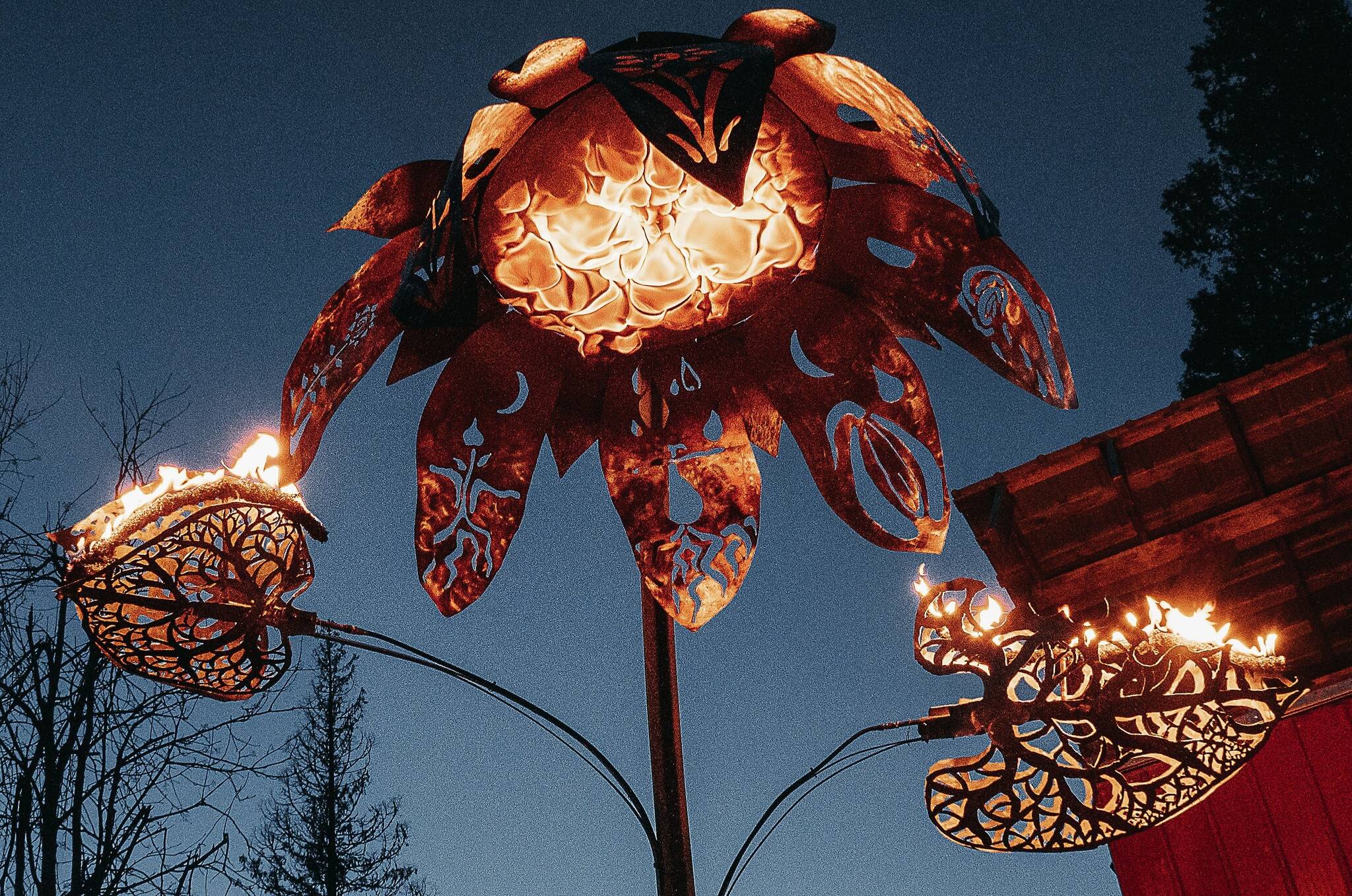Ignus, the 10.5-foot steel and aluminum sunflower art installation created by Terrace artist Jordie Laidlaw and his team. Inspired by his experiences as an ICU nurse during the COVID-19 pandemic, the piece is set to embark on a 2,500-kilometre journey to Burning Man, symbolizing resilience, connection, and creativity.
(Vilk Studios photo)