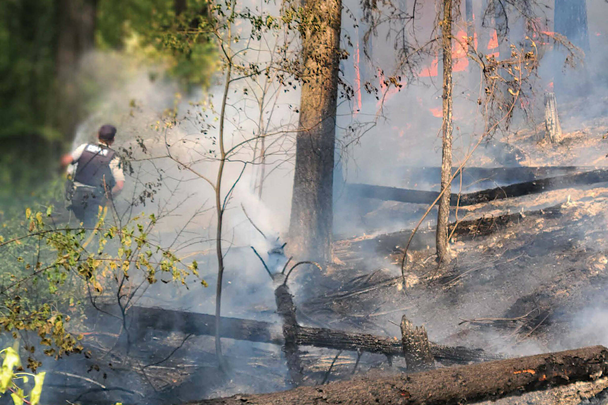 Cst. Mark Tataryn runs a water hose toward an active forest fire. (Golden RCMP photo)