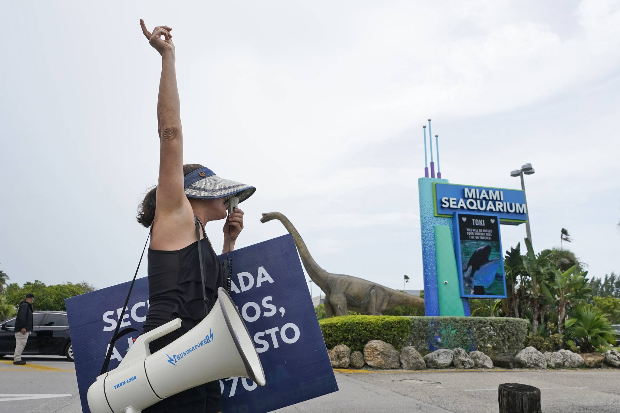 Holly, who declined to give her last name, with the group Miami Seaquarium Weekly Demos, demonstrates after the recent death of a captive orca, Sunday, Aug. 20, 2023, outside the Miami Seaquarium in Key Biscayne, Fla. Lolita, an orca whale held captive for more than a half-century, died Friday at the Miami Seaquarium as caregivers prepared to move her from the theme park in the near future. (AP Photo/Wilfredo Lee)