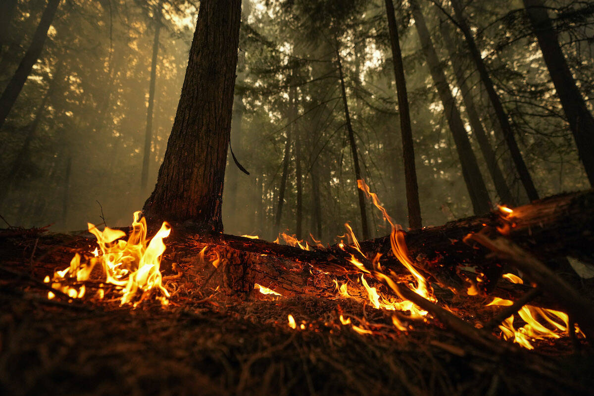 A hot spot from the Lower East Adams Lake wildfire burns in Scotch Creek, B.C., on Sunday, August 20, 2023. THE CANADIAN PRESS/Darryl Dyck