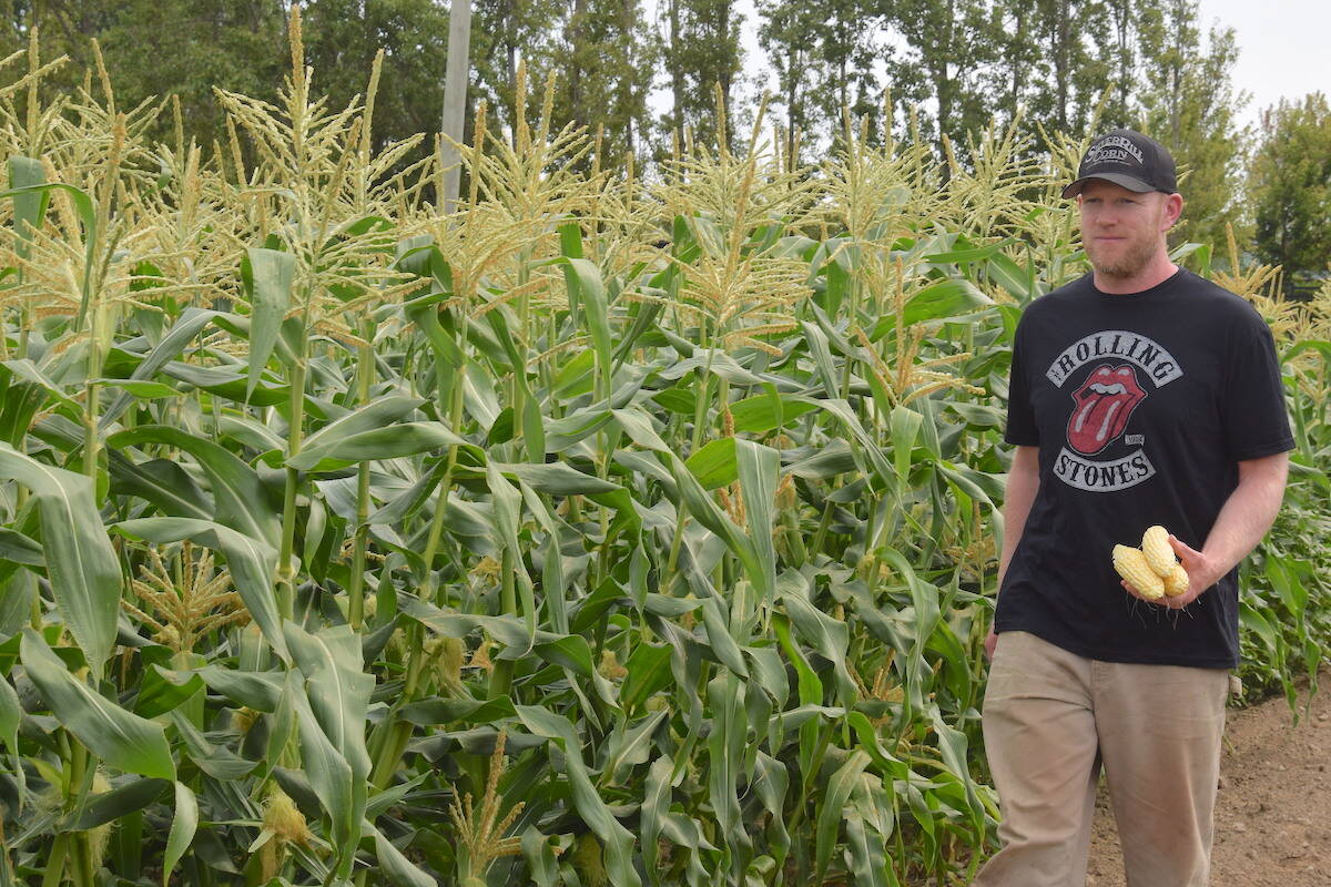 Silver Rill Corn general manager and co-owner Clayton Fox anticipates seeing great quality corn throughout this season. (Brendan Mayer/News Staff)