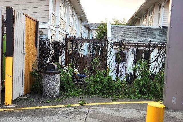 The aftermath of a fire in a small area in between the seniors’ residence and the Dairy Queen around 5 a.m. on Aug. 19. (Submitted photo)