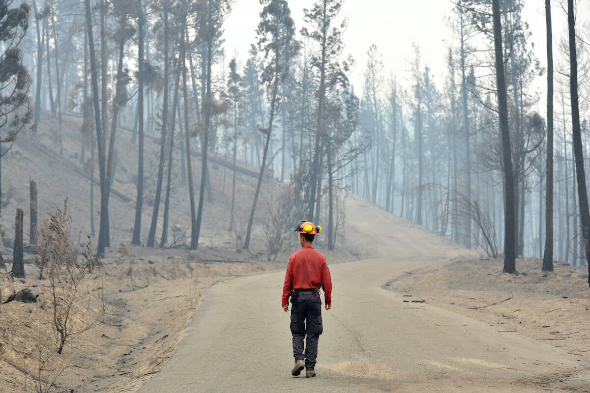All evacuation orders and alerts in place from the McDougall Creek wildfire remain the same entering Wednesday, Aug. 23. (BC Wildfire Services)