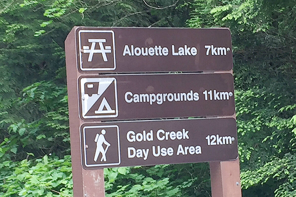 A teenager died after being pulled from the water in Golden Ears Provincial Park. (The News files)