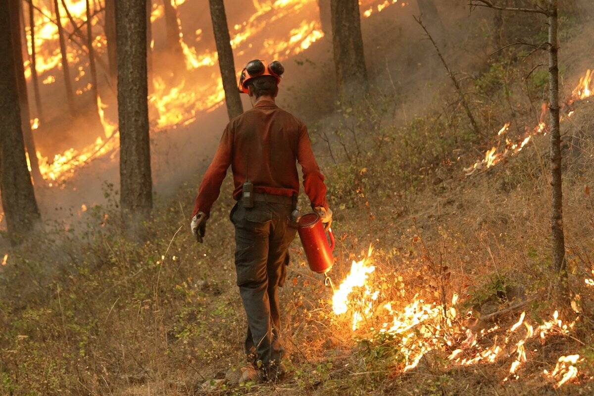 Planned ignition work continues on the McDougall Creek wildfire. (BC Wildfire Service)