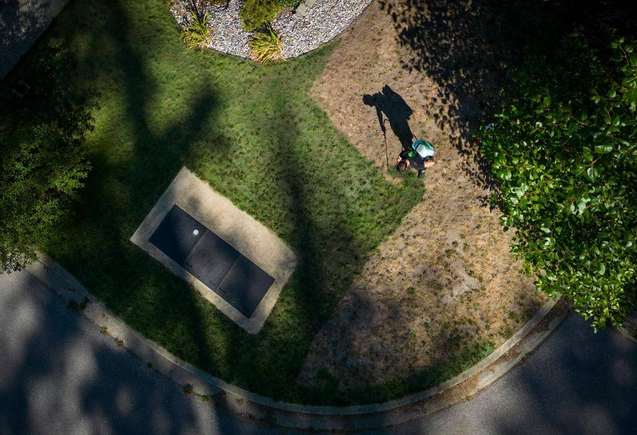 Tyler Basham paints the grass outside a house in Maple Ridge, B.C. on Thursday, August 17, 2023. THE CANADIAN PRESS/Darryl Dyck