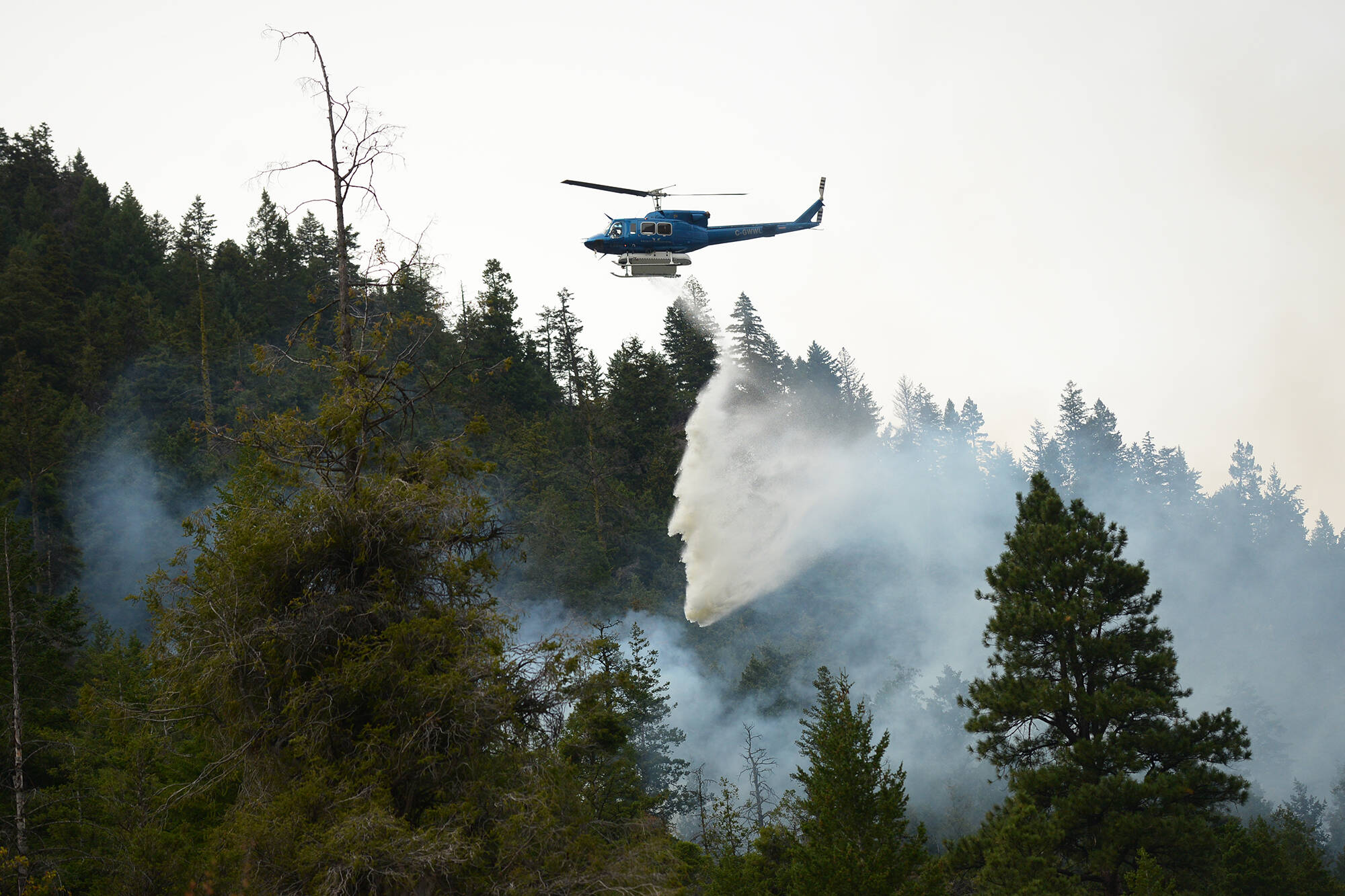 Donations raised through the New Car Dealers Association will help provide shelter, basic needs, recovery assistance and emotional support for B.C. residents impacted by the recent wildfires. Phil McLachlan / Western News photo