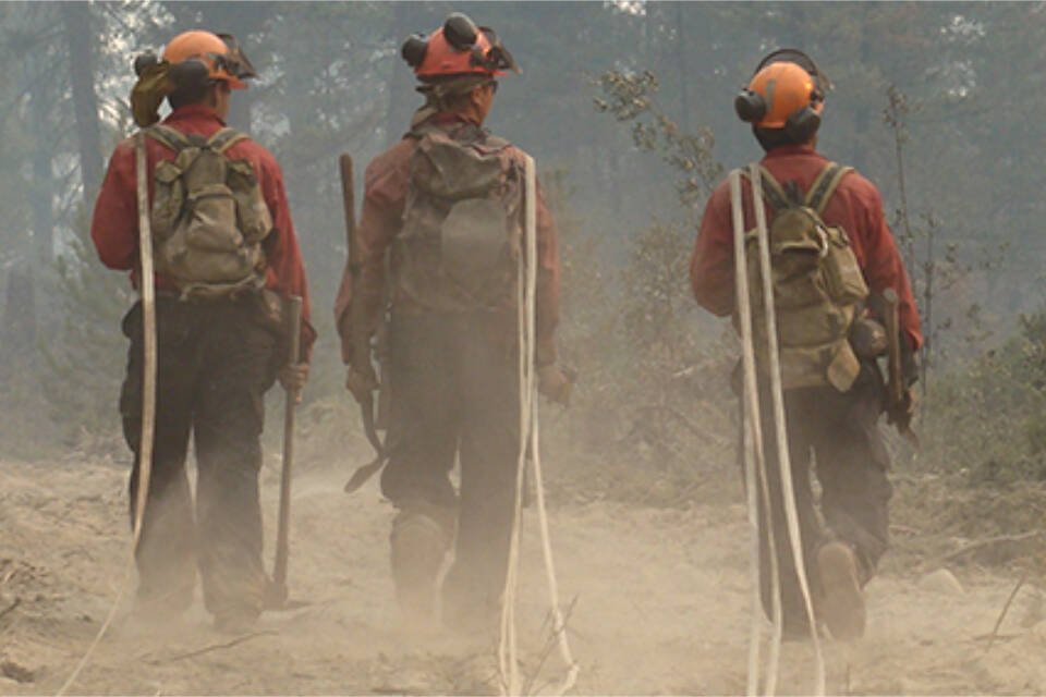 There are 66 firefighters responding to the Upper Park Rill wildfire, including two danger tree fallers. While B.C. isn’t yet in the clear for this wildfire season, the BC Wildfire Service’s operations director says the agency is already starting to plan out what the fall and next season could look like. (BC Wildfire Service)