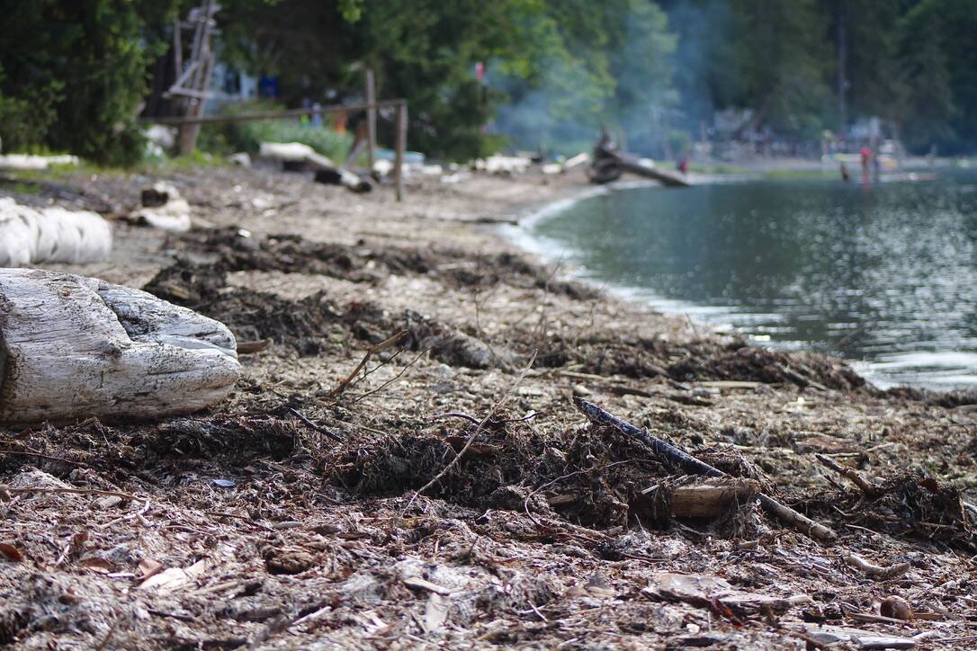 The We-Wai-Kai campsite, bordering Rebecca Spit Provincial Park on Quadra Island. (John McKinley file)