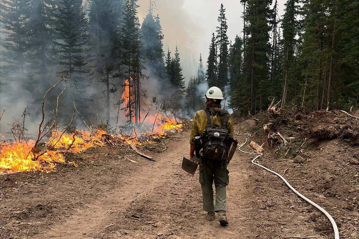 The crash happened on Sep. 19 at approximately 2:00 a.m., one kilometre west of Juniper Beach Provincial Park near Walhachin (Credit: BC Wildfire Service)
