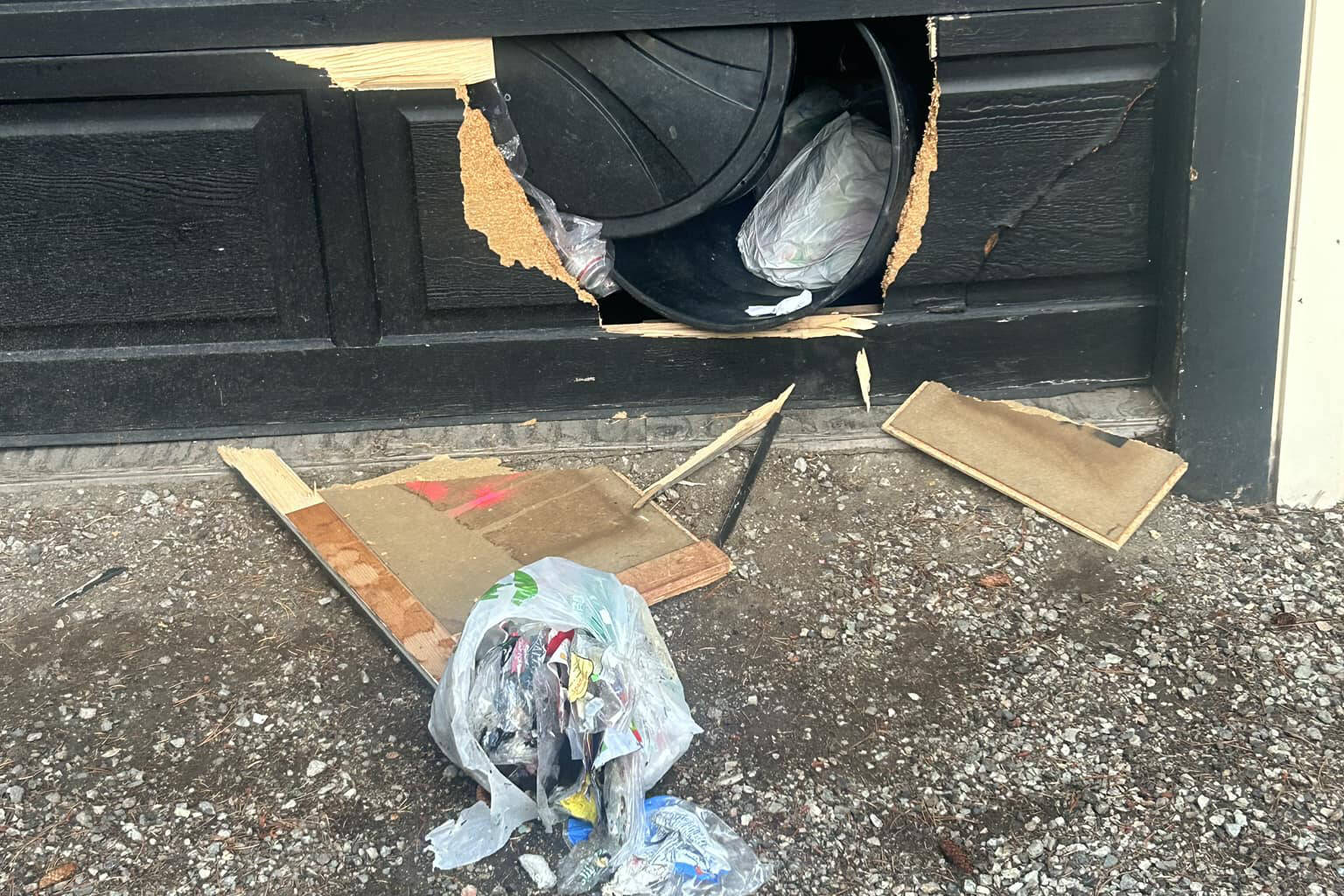 A very determined bear showed that even storing your garbage in the garage might not be enough. (Motor Rose)