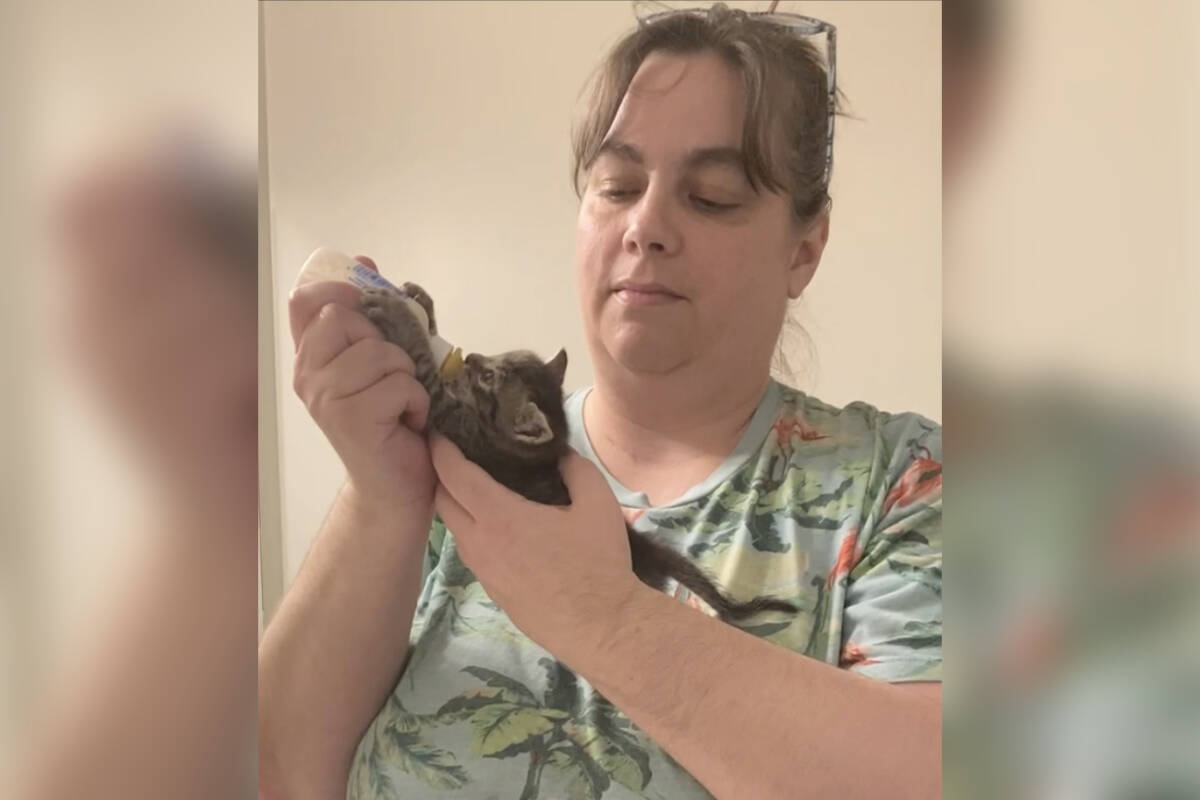 Sharon Rubin of the Itty Bitty Kitty Committee nurses Carlos, one of the many kittens she has helped in her decade of cat rescue. (Courtesy of Sharon Rubin)