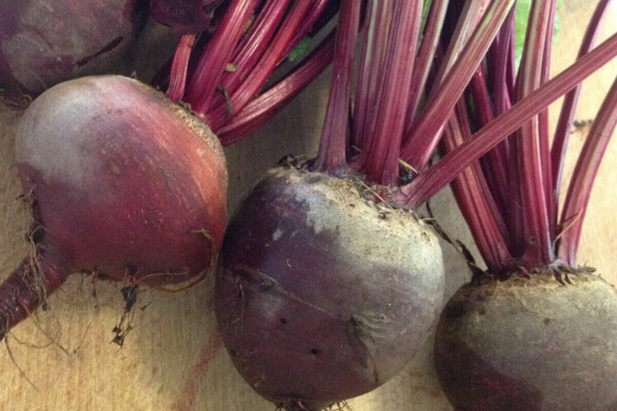 Beets, and other vegetables are being stolen from Eric White’s farmstand on Metchosin Road. (April Hammerand)