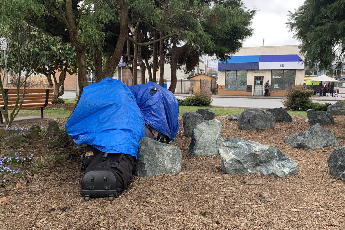 A makeshift shelter sits among the landscaping of the Courtenay City Hall parking lot, with the Connect Centre in the background. The Connect Centre is a safe haven for the homeless. (File photo)