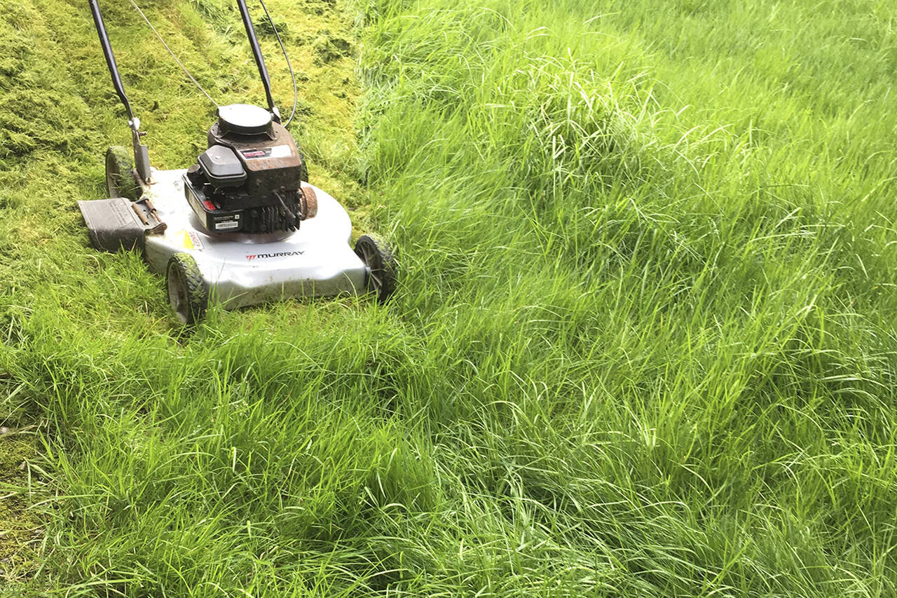 A lawsuit claims new topsoil full of glass, rocks, and other garbage made a Langley family’s lawn too dangerous to mow. (Black Press Media files)