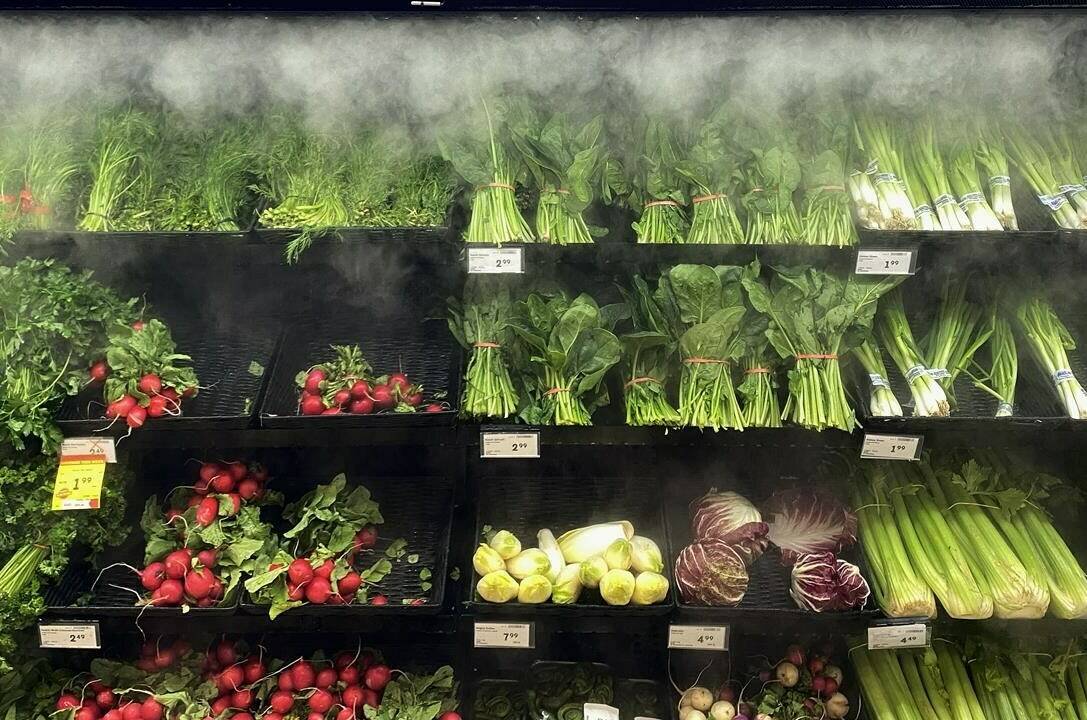 Produce is shown at a west-end Toronto Sobeys grocery store on Sunday, June 26, 2023. The House of Commons agriculture committee is asking the heads of Canada’s major grocery chains to testify about their plans to stabilize grocery prices after the federal government announced commitments secured from the grocers. THE CANADIAN PRESS/Graeme Roy
