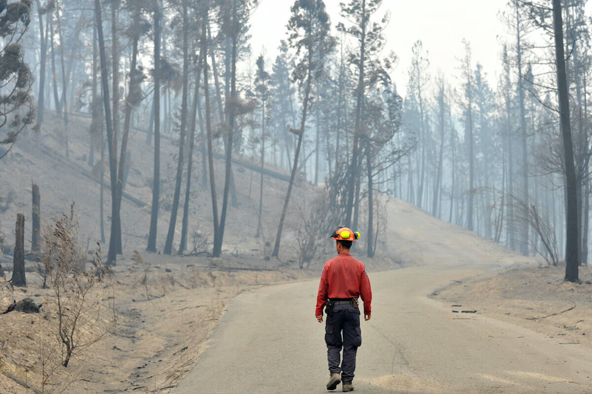 New legislation passed Wednesday promises to improve B.C.’s response before, during and after natural emergencies. (BC Wildfire Service)