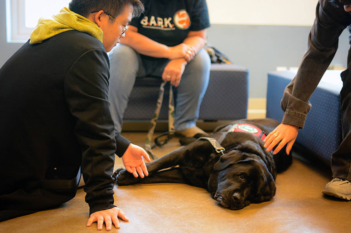 Building Academic Retention through K9s (BARK) at UBCO. (Freya Green/UBCO)