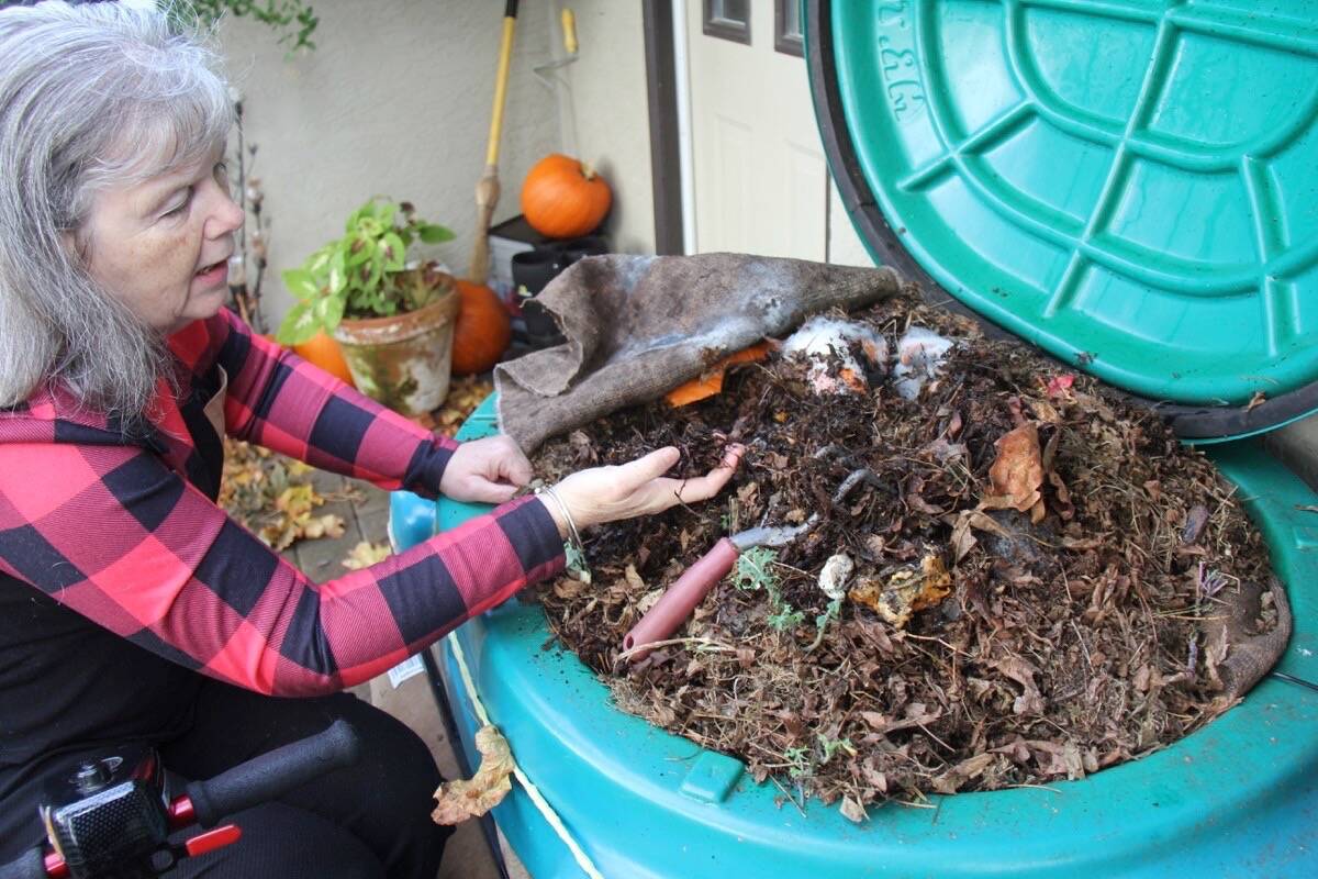 Oak Bay worm farmer Sandra Birrell shows off a handful of the 10,000 worms that call Gilligan home. (Christine van Reeuwyk/News Staff)
