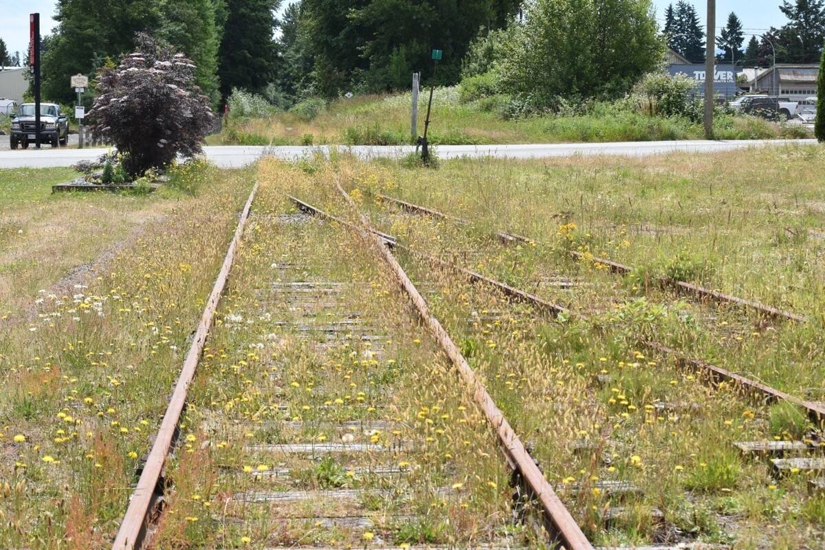 Friends of Rails to Trail Vancouver Island appealed to the Regional District of Nanaimo to champion its efforts to work toward a multi-use pathway all the way along the rail corridor. (Black Press Media file photo)