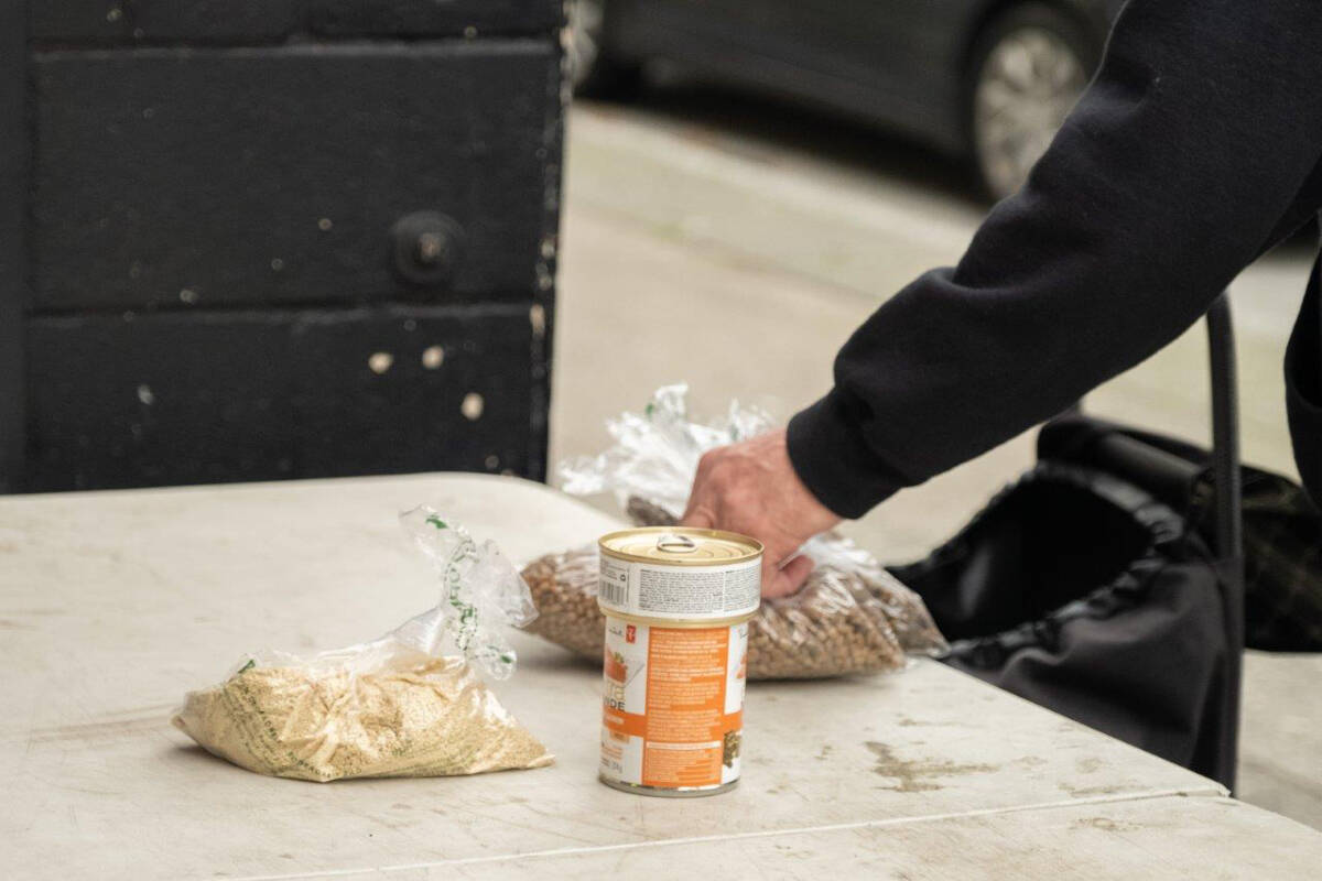 The BC SPCA are still looking for donationans, partlicularly for cat food and litter (Photo credit: BC SPCA)