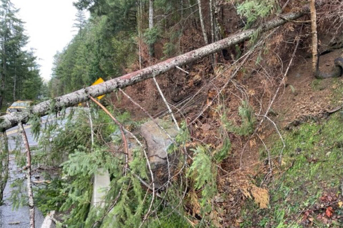 A tree and two boulders were dislodged from Cameron Bluffs, forcing closure of Highway 4 east of Port Alberni on Christmas Day. (MINISTRY OF TRANSPORTATION AND INFRASTRUCTURE PHOTO)
