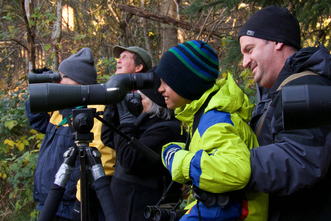 Bird count organizers say a key is to attract younger people. (File photo by Don Willott)