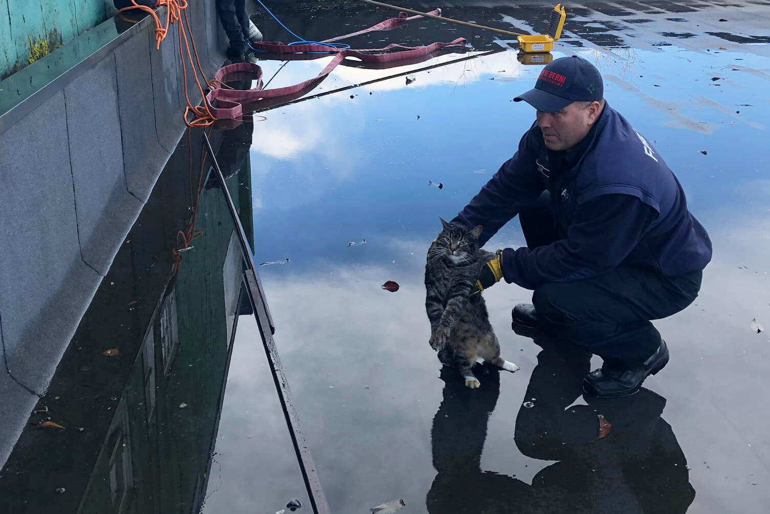 The Port Alberni Fire Department rescued a cat that was wedged between two buildings on Third Avenue. (FACEBOOK PHOTO)