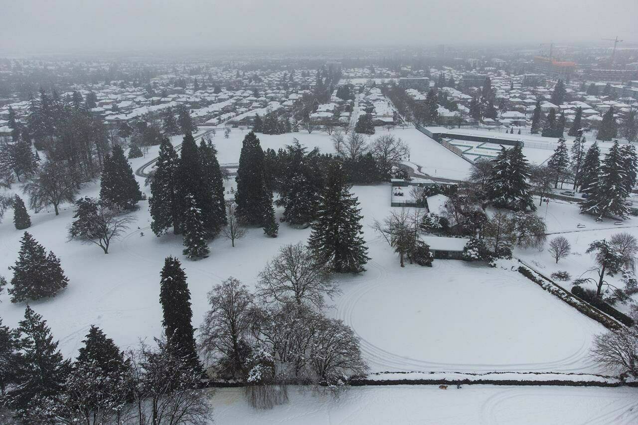 <div>Environment Canada says inland sections of the central and south coasts of British Columbia should prepare for significant snowfall early this week. A person, lower right, walks a dog after an overnight and morning snowstorm, in Vancouver, B.C., Tuesday, Feb. 28, 2023. THE CANADIAN PRESS/Darryl Dyck</div>