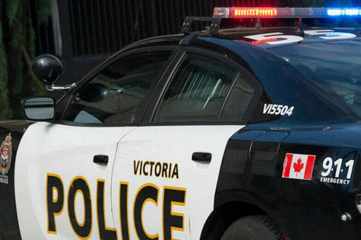 The man accused of 2014 stabbing in Beacon Hill Park has been detained in a designated psychiatric hospital. (Black Press Media file photo)