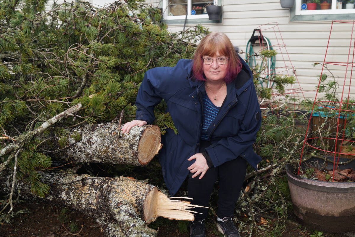 Stephanie Lumley stands under where a tree hit the roof of her home and left a large branch sticking through the ceiling. (Rick Stiebel- Sooke News Mirror)
