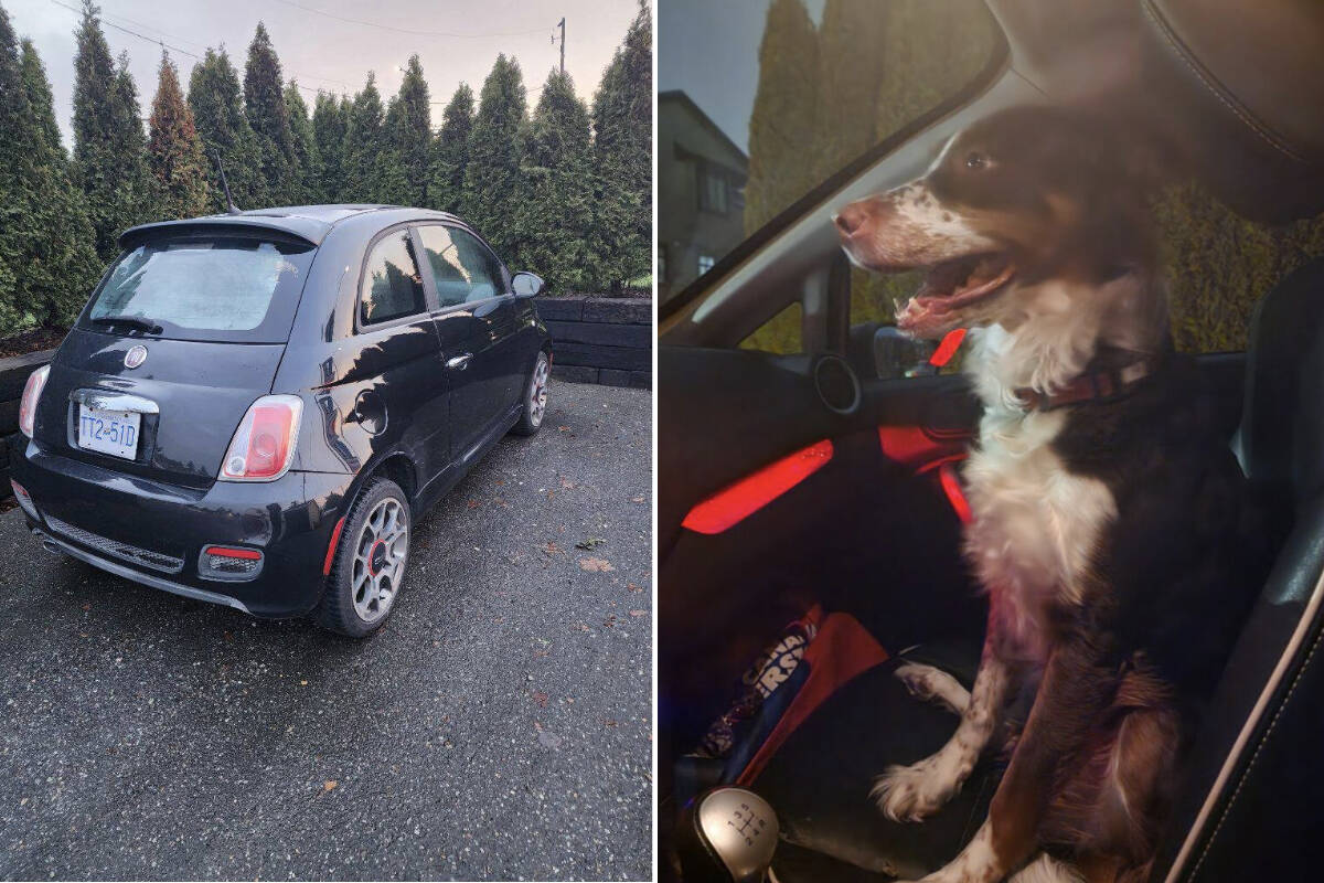 New Westminster police are asking for help locating a stolen vehicle and the dog that was inside it. The department says the 2012 Fiat 500 Sport was stolen from the 800-block of Carnarvon Street at about 12:50 a.m. on Jan. 15, 2023. (Photos courtesy of New Westminster Police Department)
