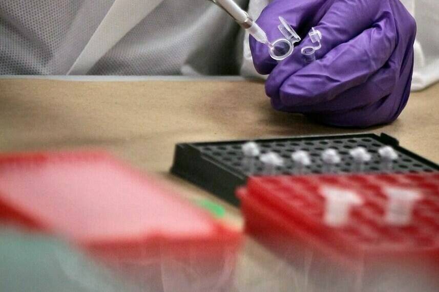 Undercover police investigating the murder of a 13-year-old girl in British Columbia disguised themselves as tea marketers to secretly collect the DNA of about 150 Kurdish community members, court recordings reveal. DNA testing is preformed at a lab in New York, Tuesday, April 15, 2014. THE CANADIAN PRESS/AP-Bebeto Matthews