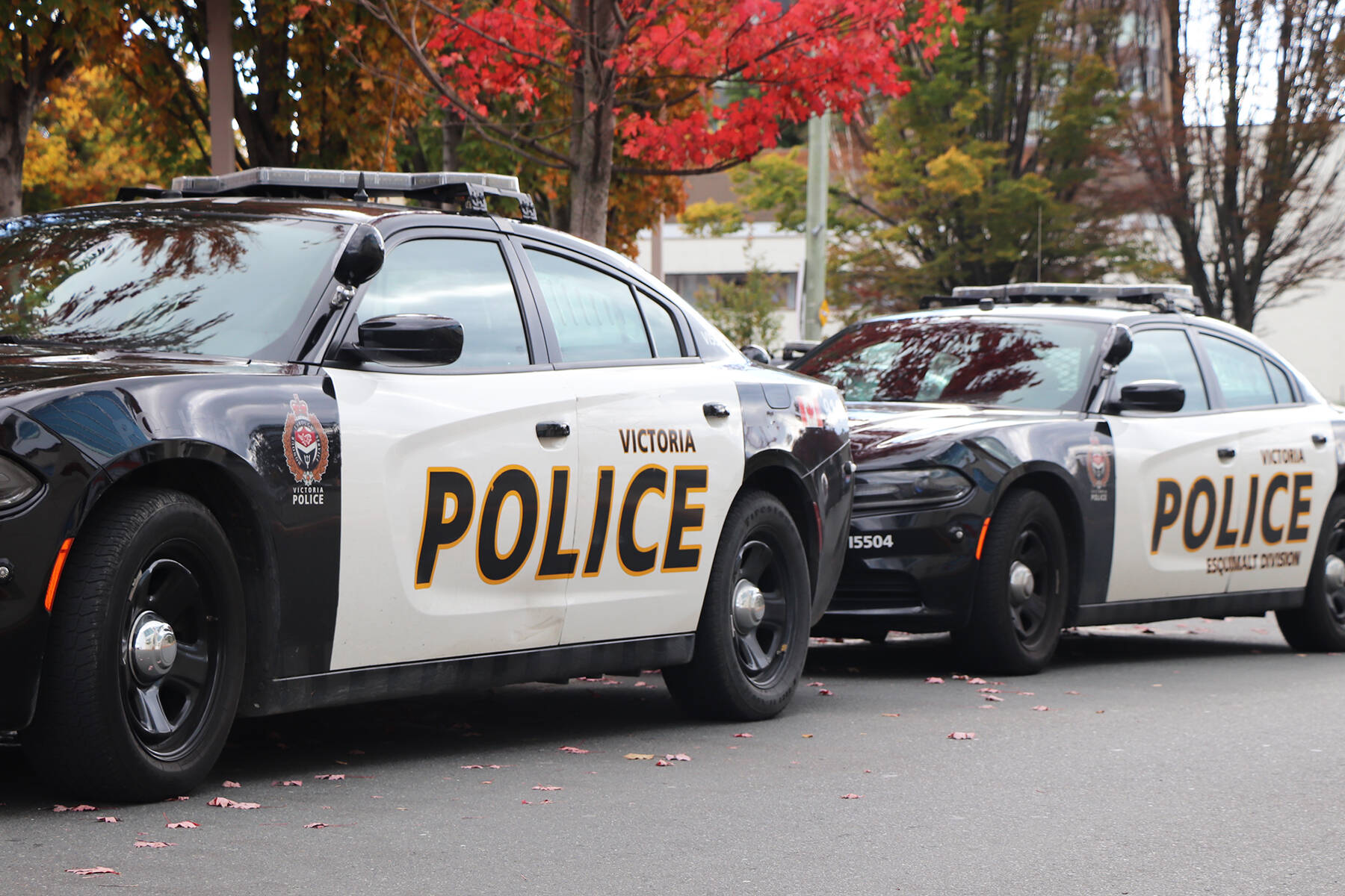 A man has been charged with assault after allegedly spitting in the face of a woman. (Black Press Media file photo)