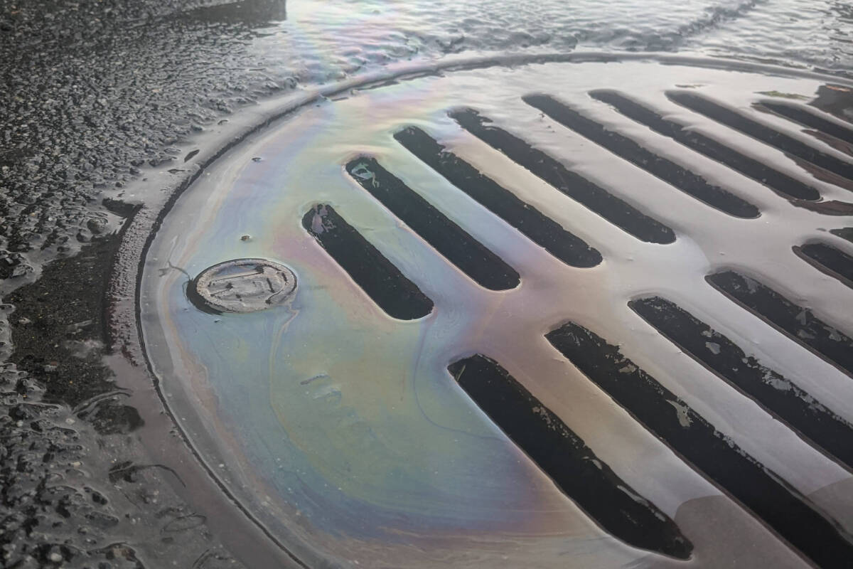 Polluted stormwater flows through a storm drain connected to a local waterway. (Courtesy Peninsula Streams Society)