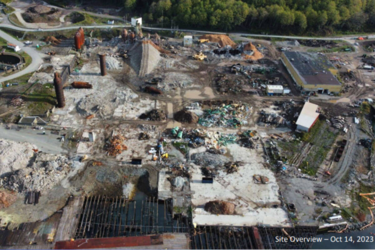 A site overview of the former pulp mill site. (Ministry of Environment and Climate Change Strategy photo)