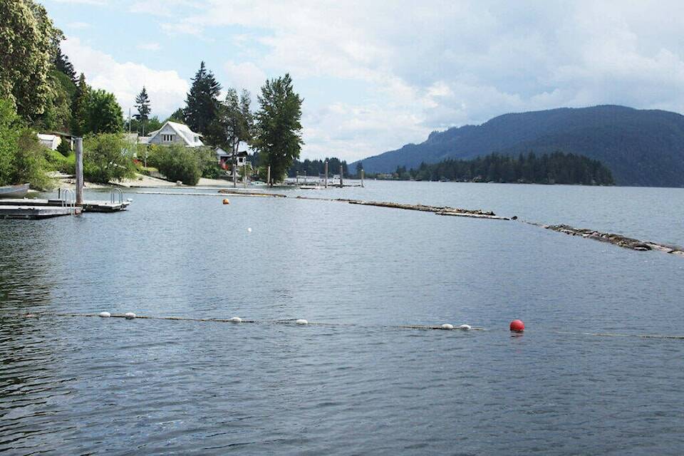 The province is considering removing the name of Coonskin Creek, which runs into Cowichan Lake through Youbou, because it may be considered offensive. (Citizen file photo)